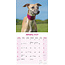 Calendario Whippet 2025