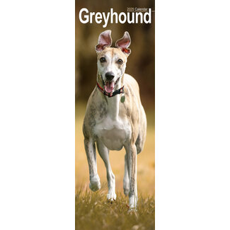 Avonside Greyhound Calendar 2025 Slimline
