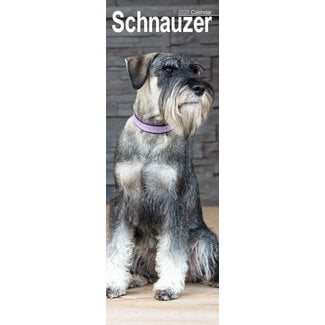 Avonside Schnauzer Calendar 2025 Slimline