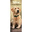 Avonside Calendrier Labrador Retriever Blonde 2025 Slimline