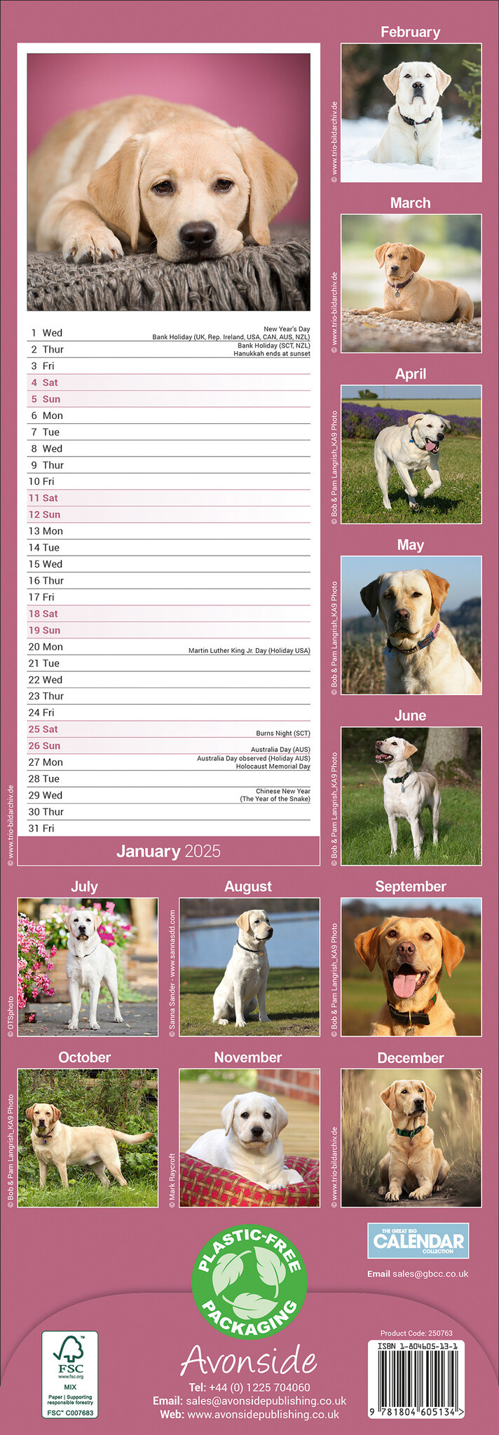 Labrador Retriever Kalender Blonde 2025 Slimline Kaufen  einfach 