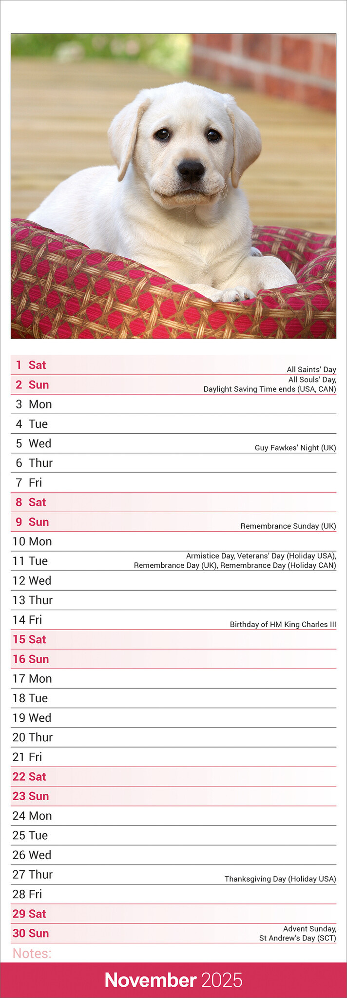 Labrador Retriever Kalender Blonde 2025 Slimline Kaufen  einfach 