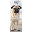 Avonside Calendario Pug 2025 Slimline