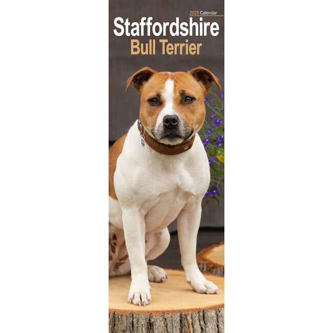 Calendario Staffordshire Bull Terrier 2025 Slimline