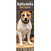 Avonside Staffordshire Bull Terrier Calendar 2025 Slimline