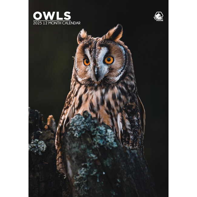 Owls A3 Calendar 2025