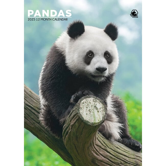 CalendarsRUs Pandas A3 Calendar 2025
