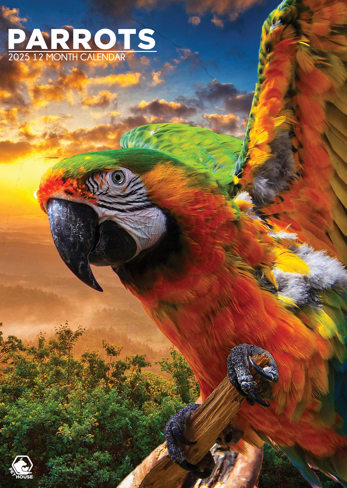 Acheter le calendrier Parrots A3 2025 ? Commande en ligne rapidement et