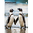 CalendarsRUs Pinguine A3 Kalender 2025