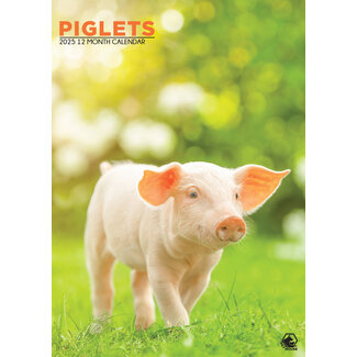 CalendarsRUs Schwein A3 Kalender 2025