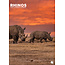 Rhinos A3 Kalender 2025