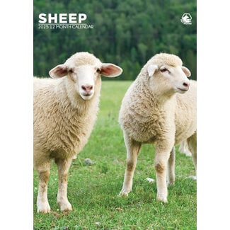 CalendarsRUs Calendario A3 delle pecore 2025