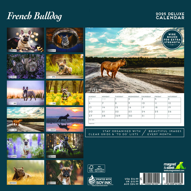Magnet & Steel French Bulldog Calendar 2025 Deluxe