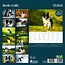 Magnet & Steel Border Collie Kalender 2025 Deluxe