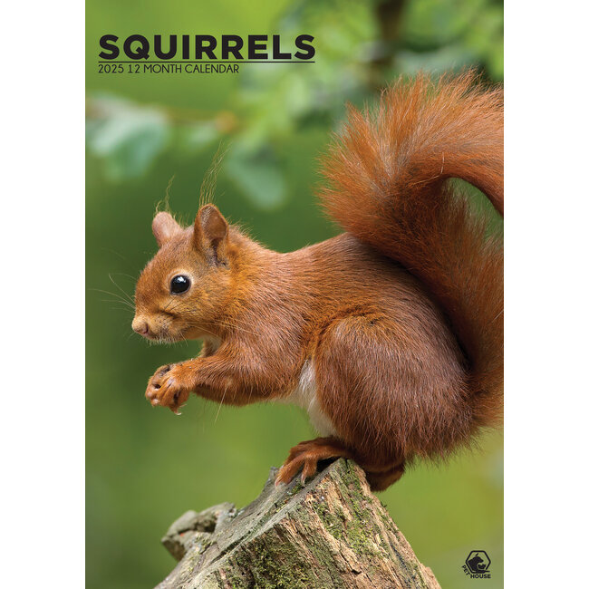 Squirrel A3 Calendar 2025