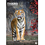 CalendarsRUs Tiger A3 Kalender 2025