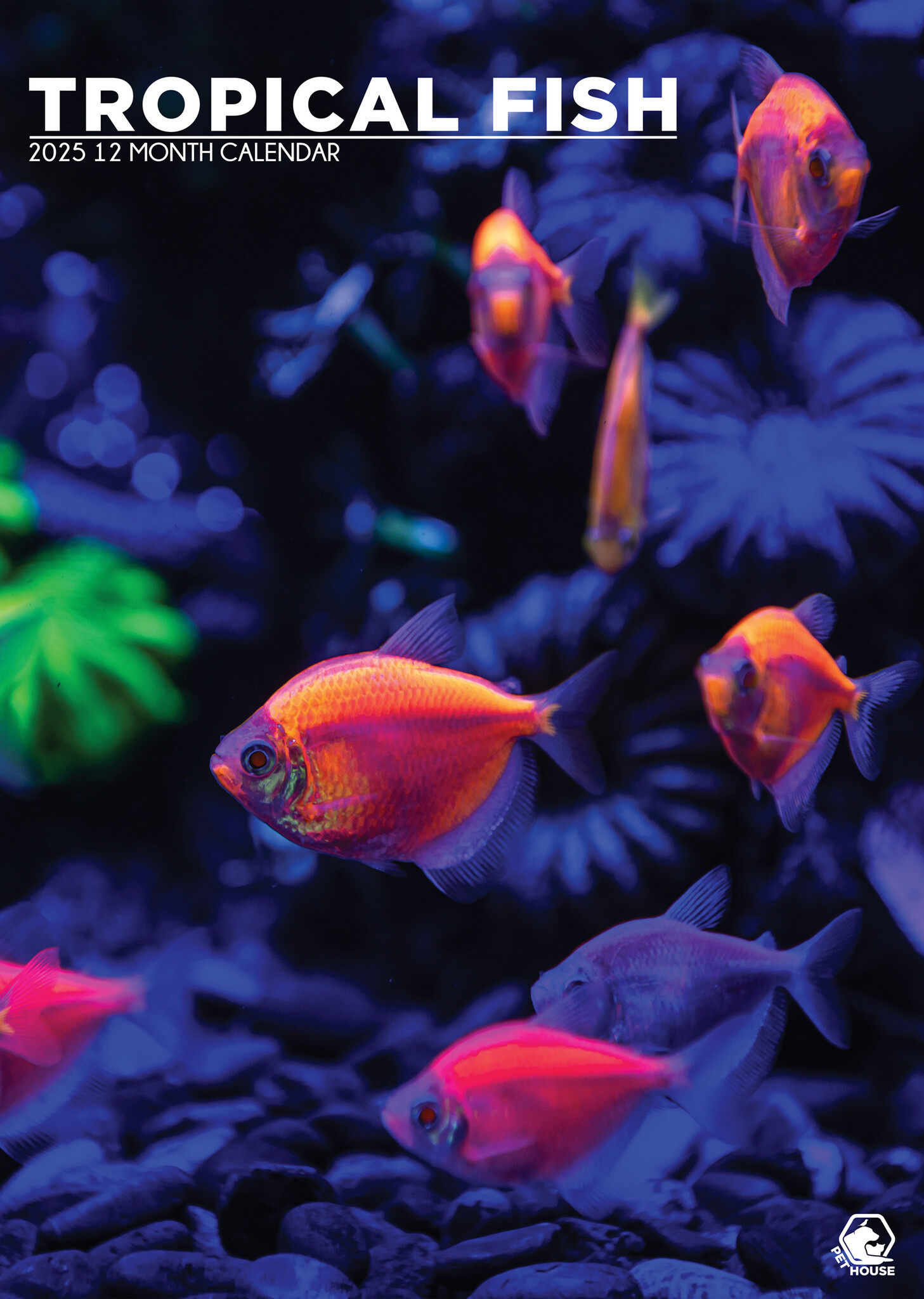 Poissons tropicaux Calendrier A3 2025 Commande facilement et rapidement en ligne