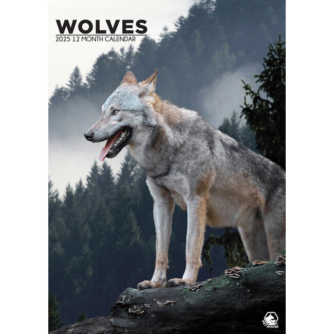 Calendrier A3 des loups 2025