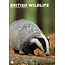 British Wildlife A3 Calendar 2025