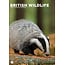 British Wildlife A3 Kalender 2025