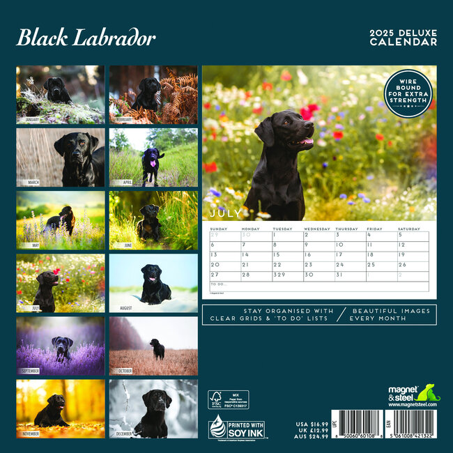 Buy Labrador Retriever Calendar 2025 Order easily online