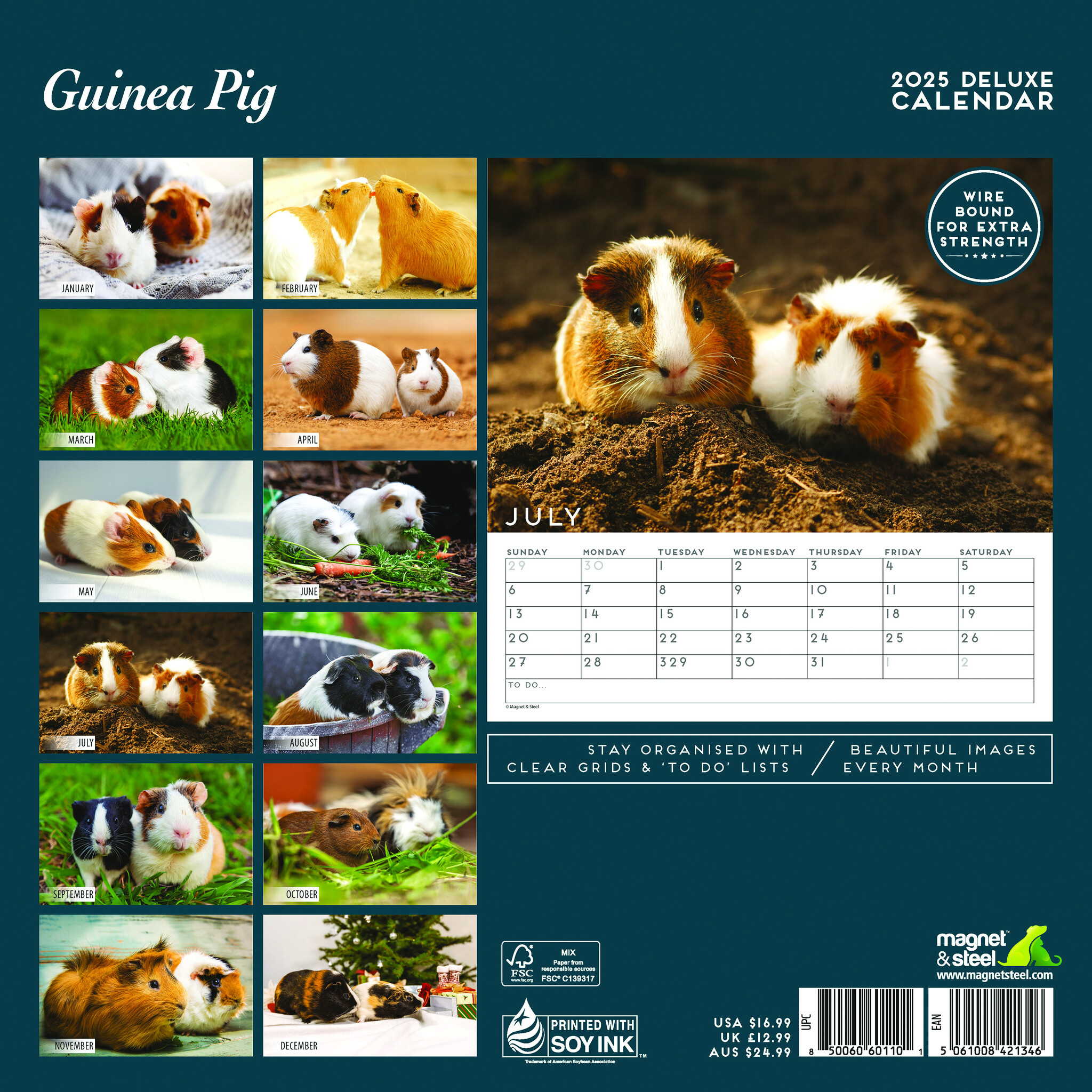 Buy Guinea Pig Calendar 2025 Deluxe? Order online quickly and easily
