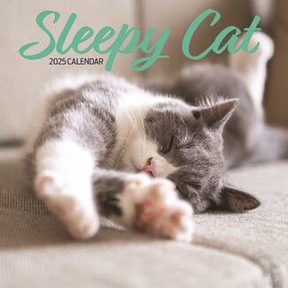 Magnet & Steel Calendario Sleepy Cat 2025