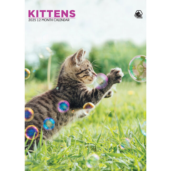 Kittens Kalender 2025