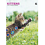 Kittens Kalender 2025