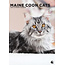 Calendario Maine Coon 2025