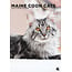 Calendrier Maine Coon 2025