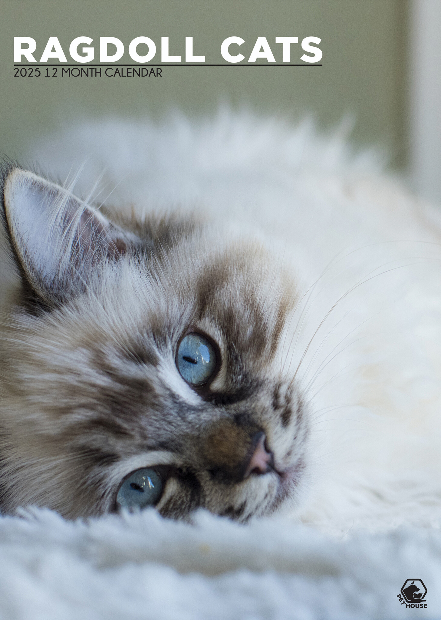 Ragdoll Calendar 2025? Order easily and quickly online.