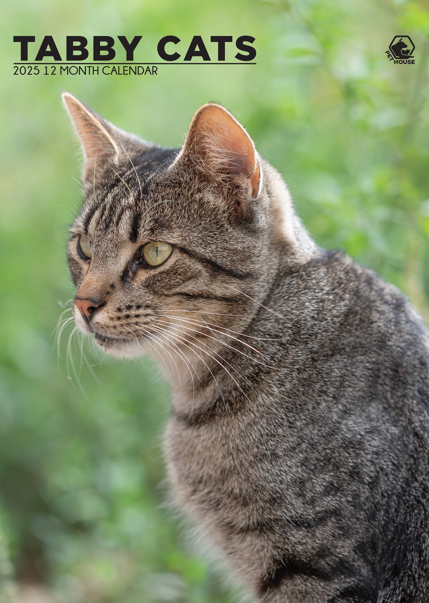 Cypress Cat Calendar 2025? Order online easily and quickly