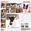 Border Collie Kalender 2025