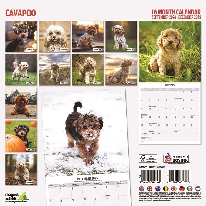 Buying Cavapoo Calendar 2025? Simply order online