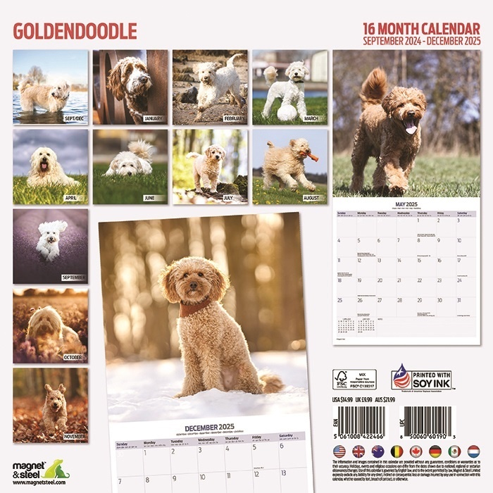 Comprar Calendario Goldendoodle 2025 Pídelo fácilmente online