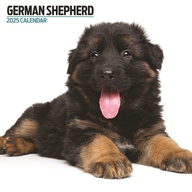 German Shepherd Calendar 2025 Modern