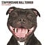 Magnet & Steel Staffordshire Bull Terrier Calendario 2025 Moderno