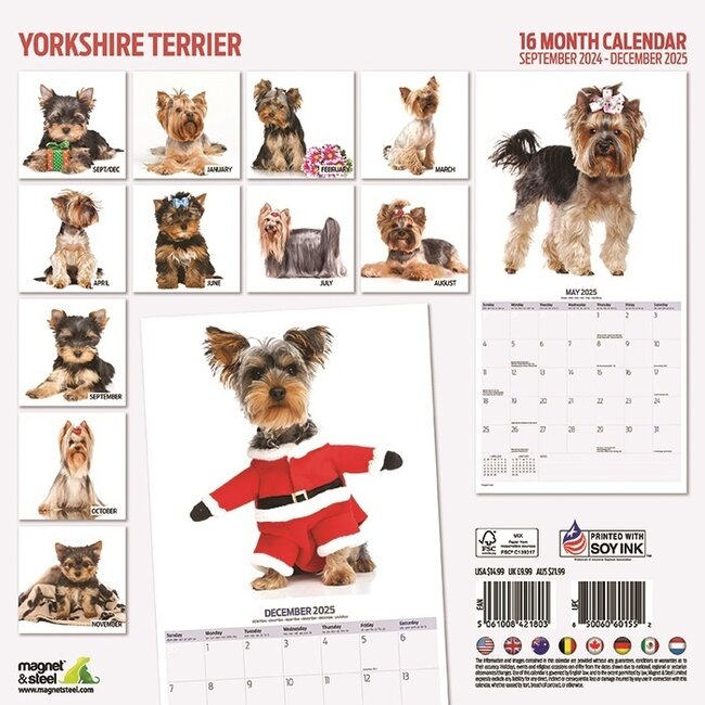 Acheter le calendrier Yorkshire Terrier 2025 Modern ? Commander en