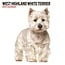 Magnet & Steel Calendario West Highland White Terrier 2025 Moderno