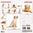 Golden Retriever Calendar 2025 Modern