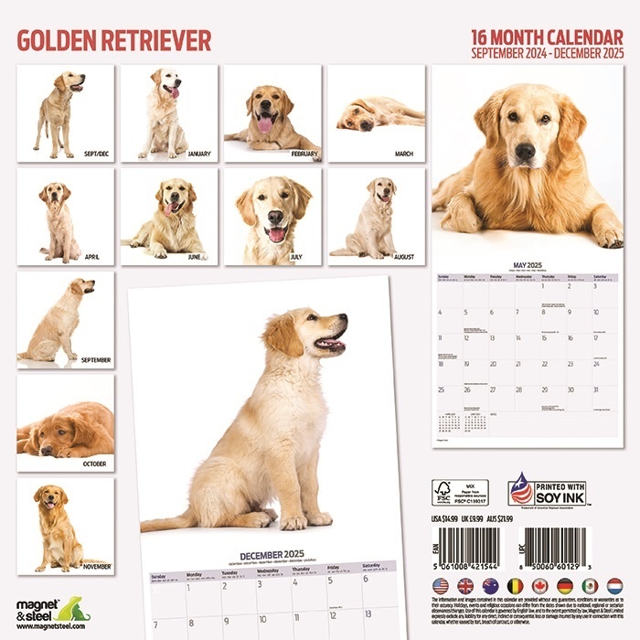 Acheter Golden Retriever Calendar 2025 Modern ? Commande facilement en
