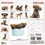 Border Terrier Kalender 2025 Modern