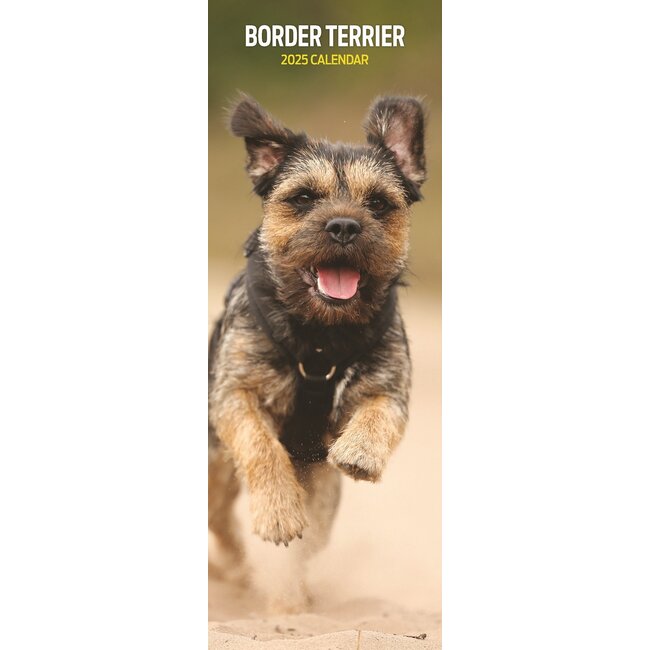 Border Terrier Calendar 2025 Slimline