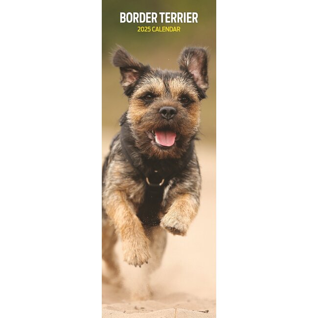 Border Terrier Kalender 2025 Slimline