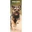 Magnet & Steel Border Terrier Kalender 2025 Slimline