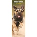 Magnet & Steel Calendrier Border Terrier 2025 Slimline