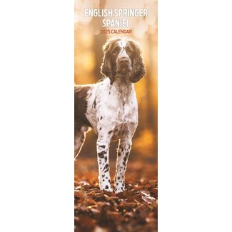 Magnet & Steel English Springer Spaniel Calendar 2025 Slimline