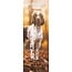 Magnet & Steel Calendario Springer Spaniel Inglés 2025 Slimline