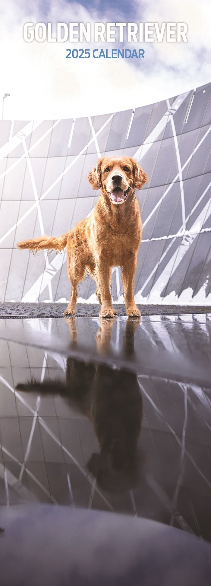 Golden Retriever Kalender 2025 Slimline Kaufen Einfach Online Golden Retriever Kalender 2025 Slimline